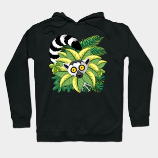 Lemur Ring Tailed, a.k.a. Lemur Catta of Madagascar Hoodie